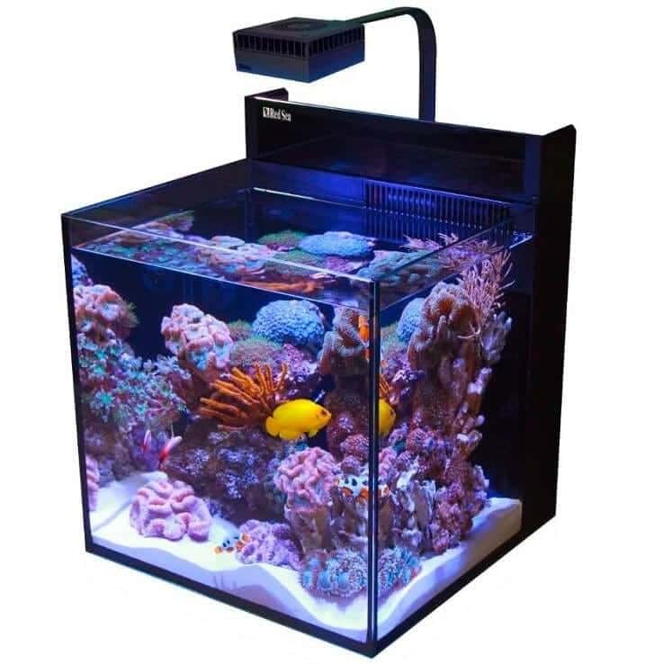 Max Nano Reef System 75L + Wyposażenie