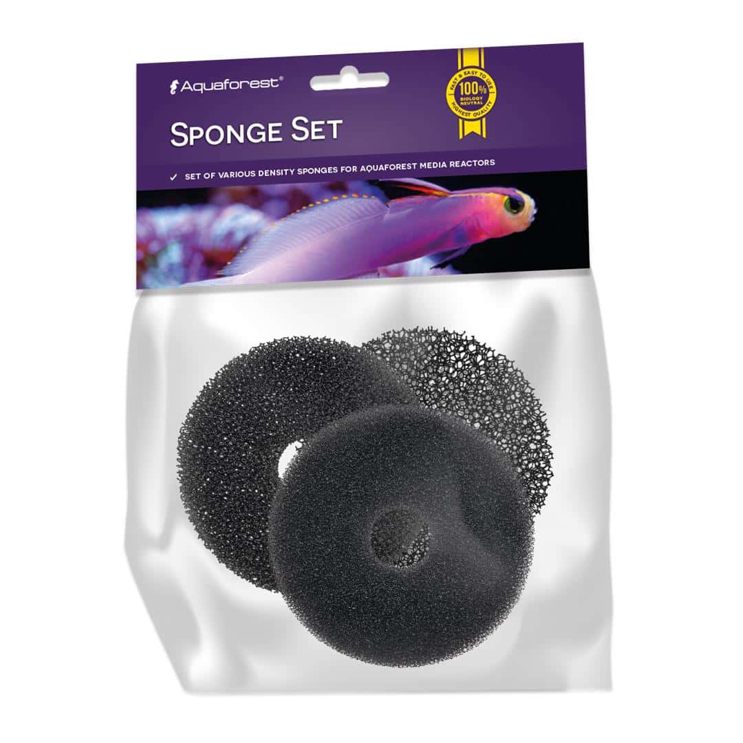 Sponge Set AF110